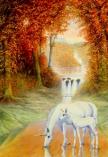 1927 autumn morning  